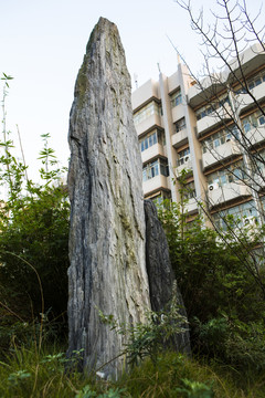 假山石