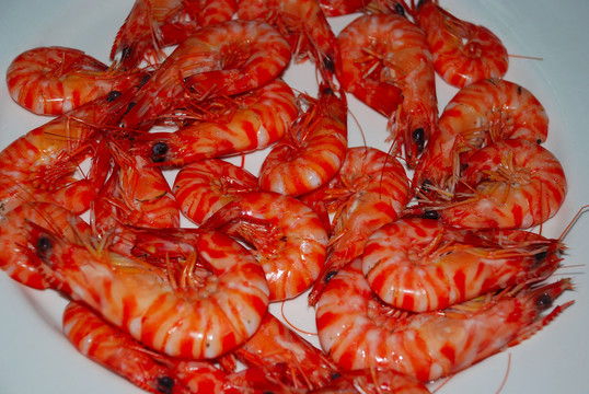 美食海鮮