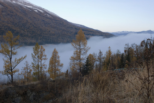沿著山谷流動的秋天的霧氣