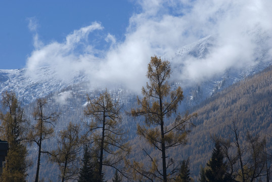 金秋山區(qū)林場云霧蒸騰的景觀