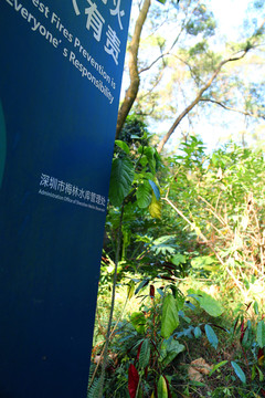 深圳梅林水庫(kù)綠道