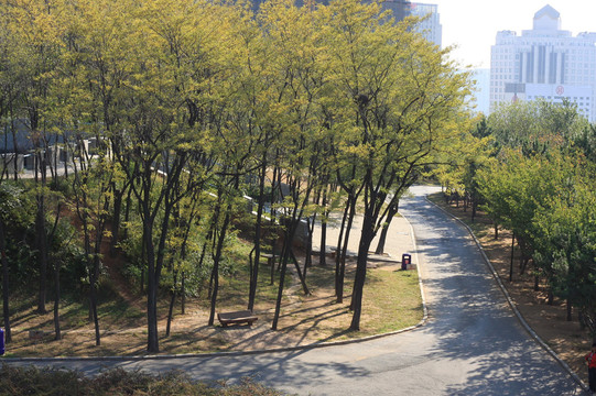 公園