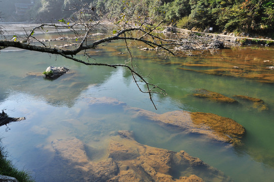 清澈見底的河水 溪流