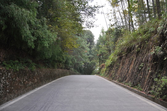 山間筆直的公路