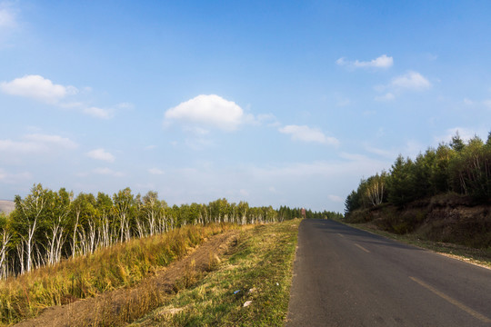 草原秋色公路景觀