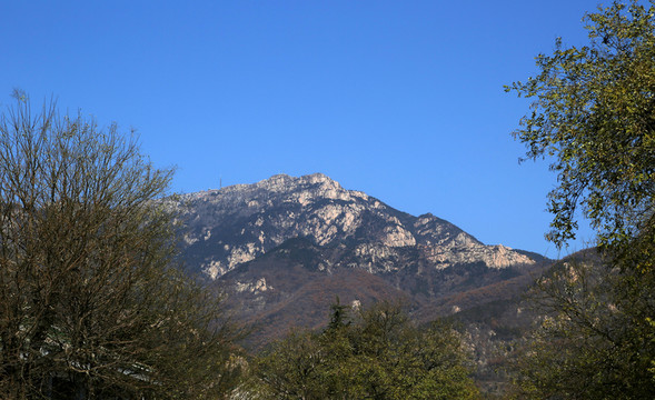泰山