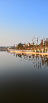 公園長卷