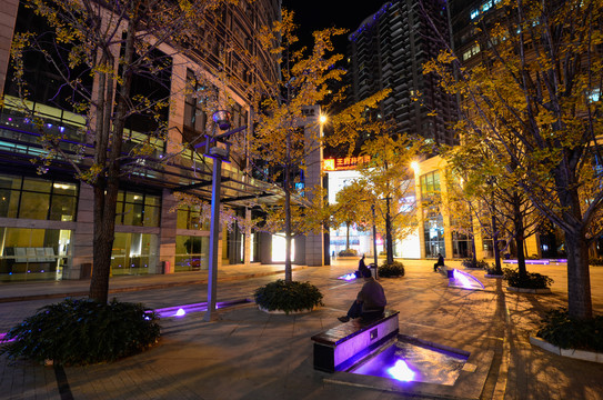 昆明街頭銀杏夜景