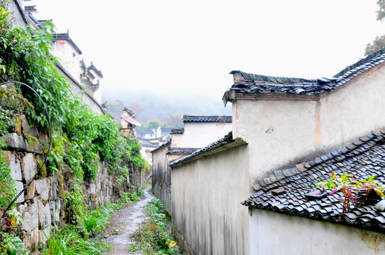 婺源秋色 徽派建筑 最美鄉(xiāng)村