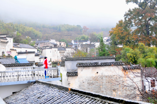 婺源秋色 徽派建筑 最美鄉(xiāng)村