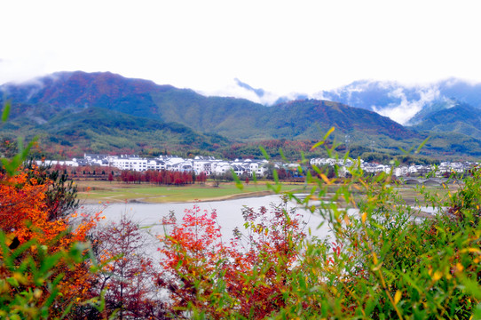 婺源秋色 徽派建筑 最美鄉(xiāng)村