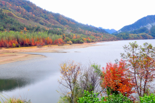 婺源秋色 徽派建筑 最美鄉(xiāng)村