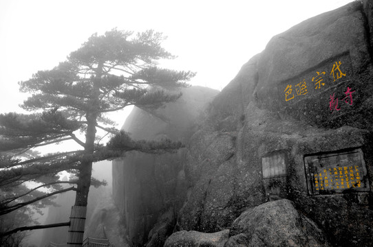 黃山風(fēng)光 云霧 風(fēng)雨黃山 云海