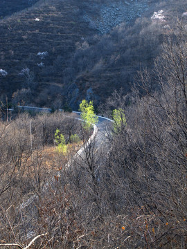 山