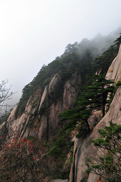 黃山風(fēng)光 云霧 風(fēng)雨黃山 云海