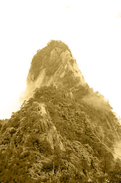 黃山風光 云霧 風雨黃山 云海