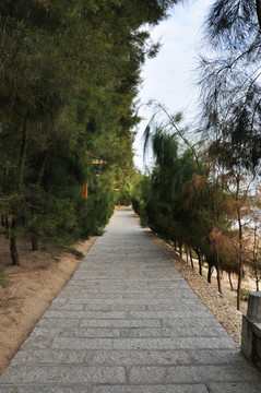 石板路