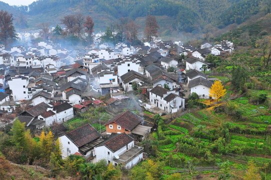 婺源秋色 徽派建筑 最美鄉(xiāng)村