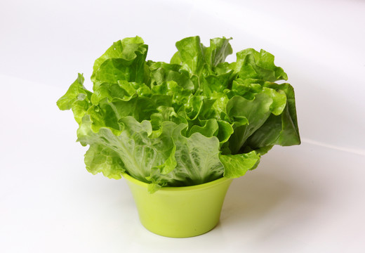 生菜