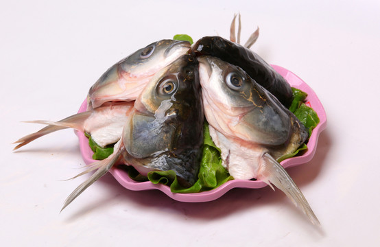 魚頭