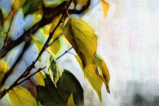 裝飾畫
