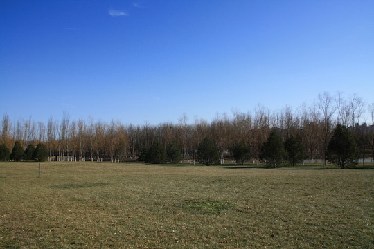 北京奧林匹克公園