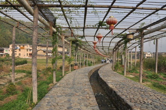 云水謠古棧道
