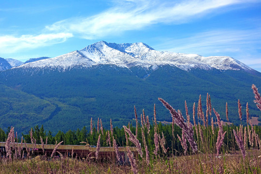 新疆雪山