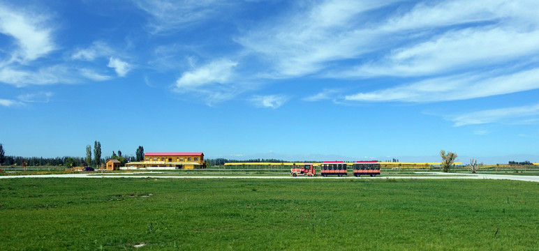 公園草地