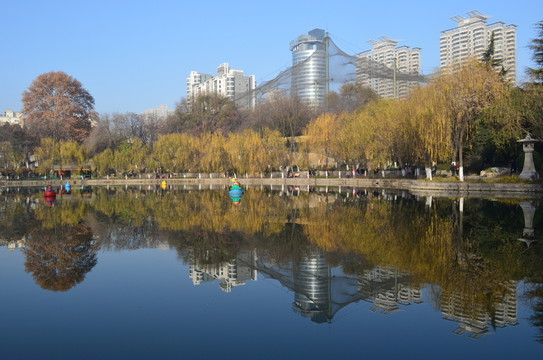 興慶湖美景