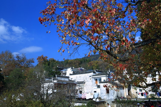 塔川的秋天