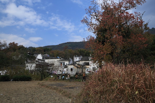 秋天的山林