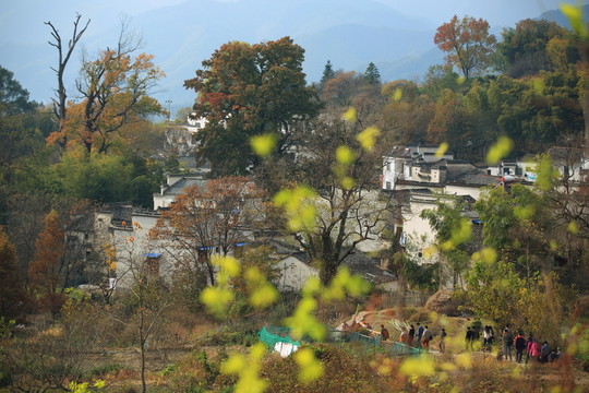 秋天的塔川