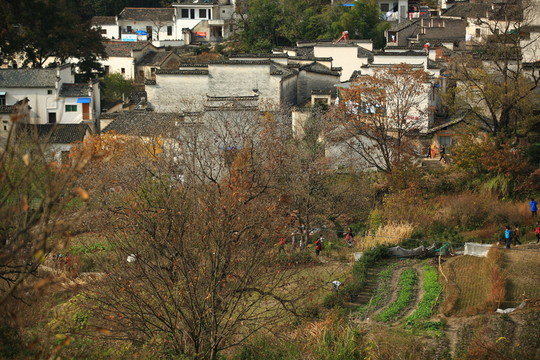 塔川的秋天