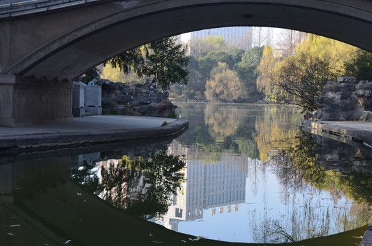 興慶湖美景