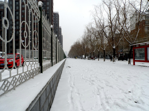 雪后柵欄