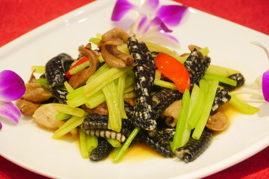 美食  菜肴  蛇肉