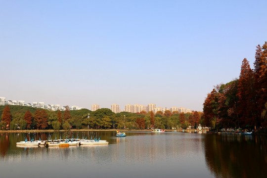 梨園秋色