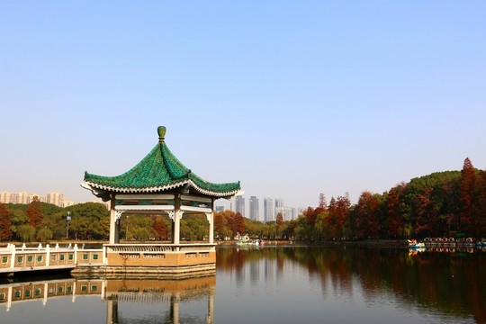 梨園秋色