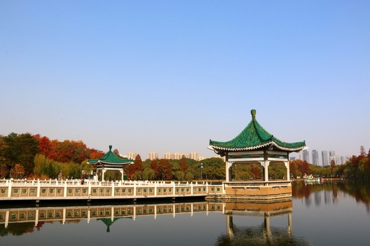 梨園秋色