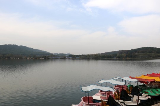 森林公園風景