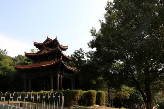 森林公園風景
