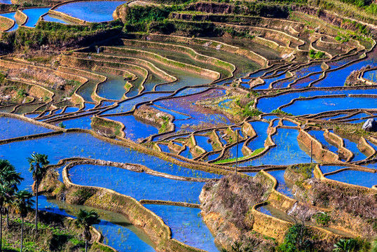 甲寅梯田