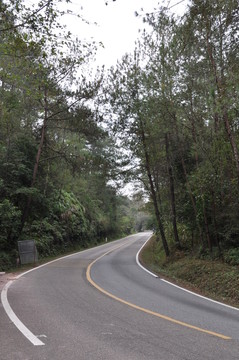 拐彎的公路