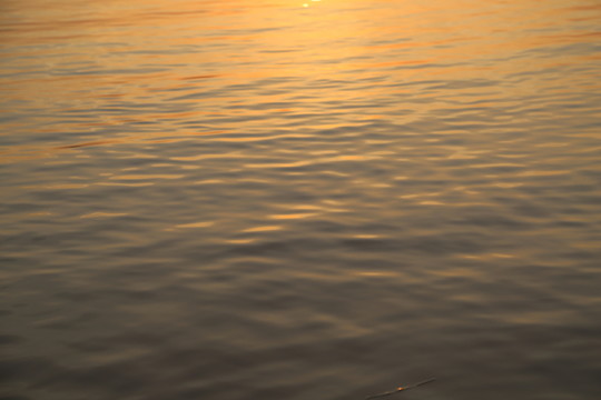 水面河面