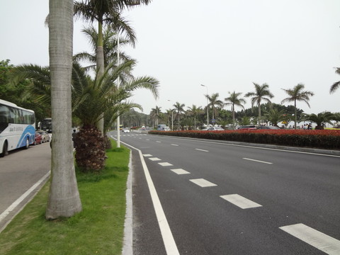 道路
