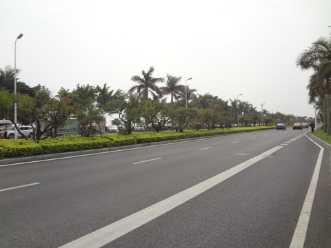 道路