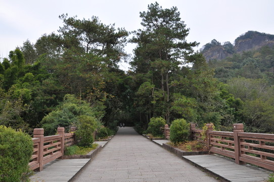 路