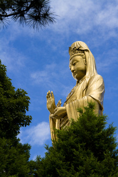 普陀山南海觀音