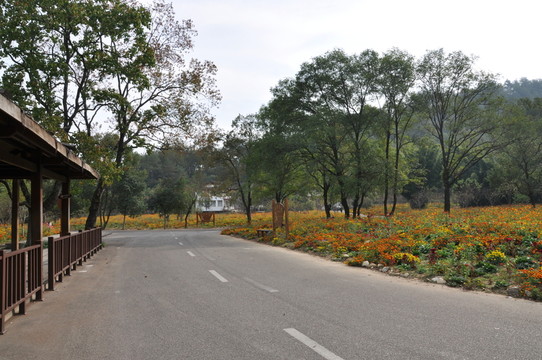 公路